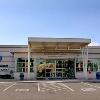 Angell Animal Medical Center ico