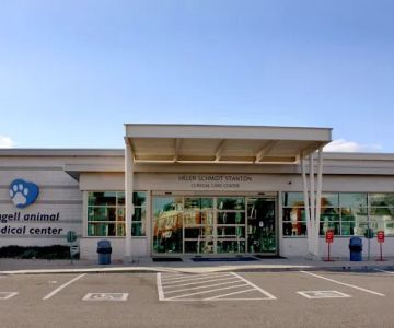 Angell Animal Medical Center