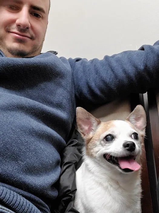 VCA Brookline Animal Hospital 7