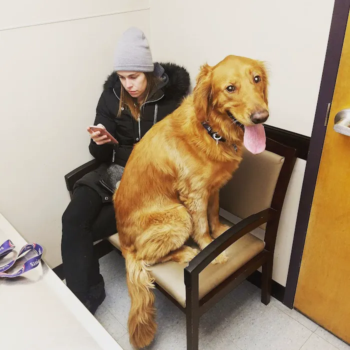 VCA Brookline Animal Hospital 4
