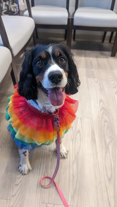 VCA Brookline Animal Hospital 2