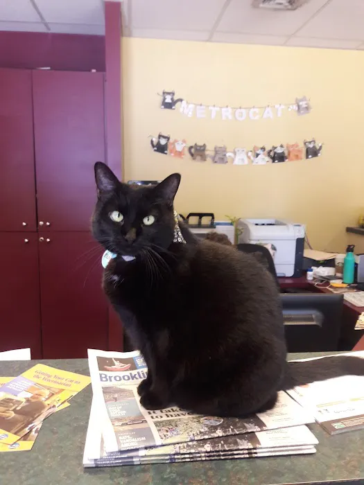 VCA Metro Cat Hospital 2