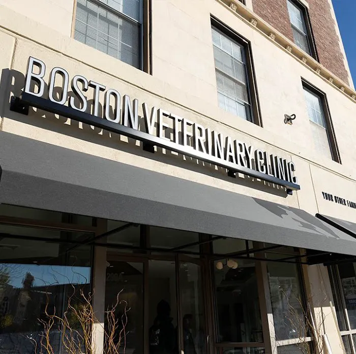Boston Veterinary Clinic 7