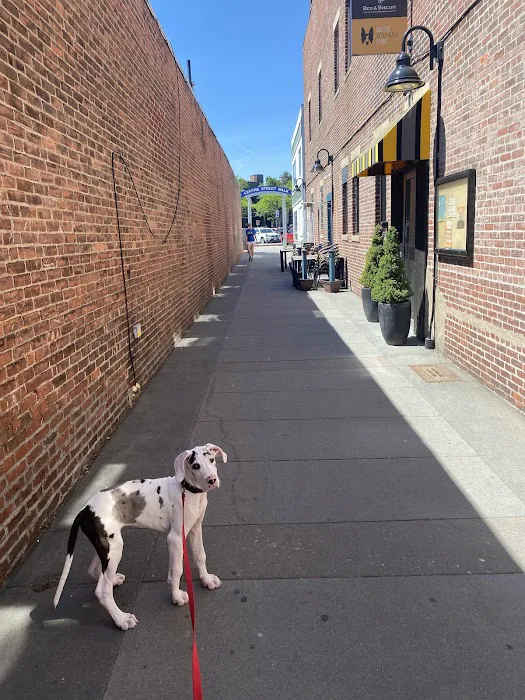 Boston Veterinary Clinic 6