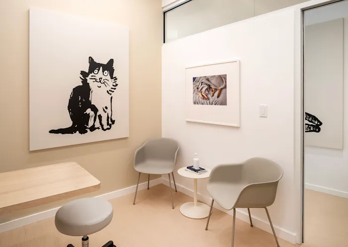 Small Door Veterinary - Brookline 10