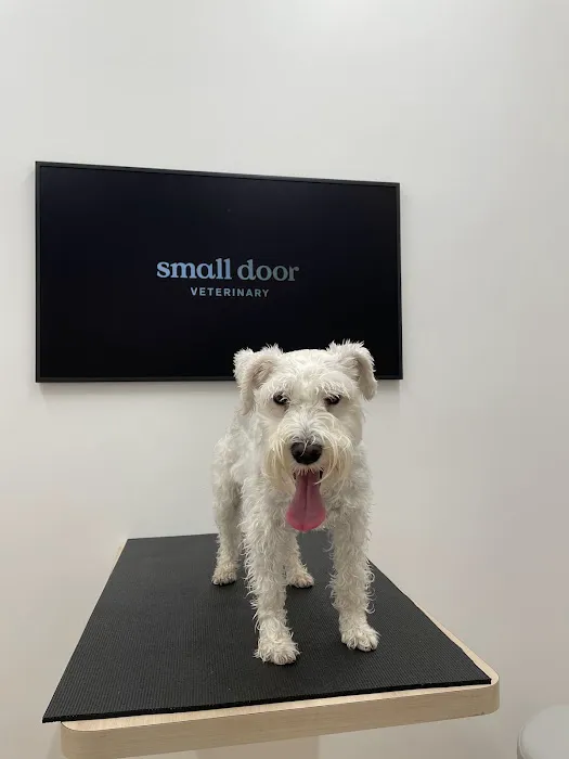 Small Door Veterinary - Brookline 4