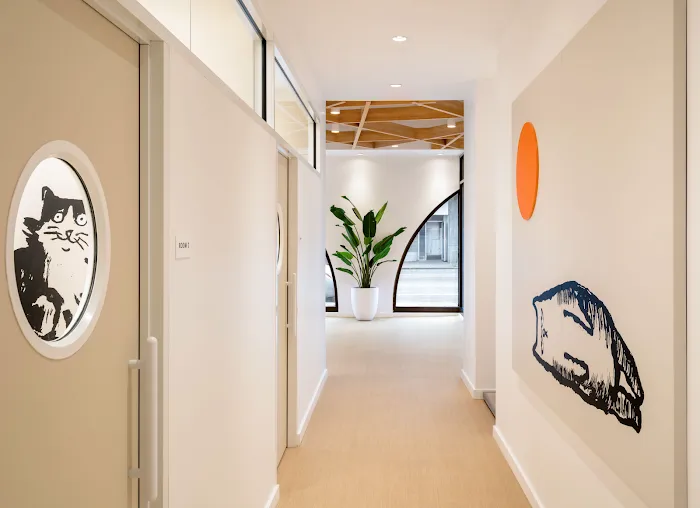 Small Door Veterinary - Brookline 5