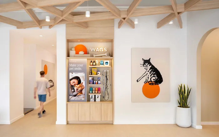 Small Door Veterinary - Brookline 8