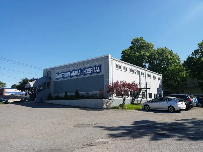 Emmerson Animal Hospital 4