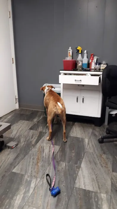 Emmerson Animal Hospital 9