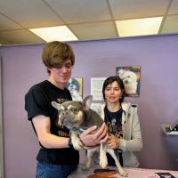 Dorchester Pet Clinic ico