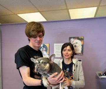 Dorchester Pet Clinic