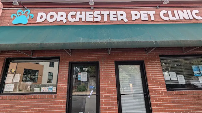 Dorchester Pet Clinic 2