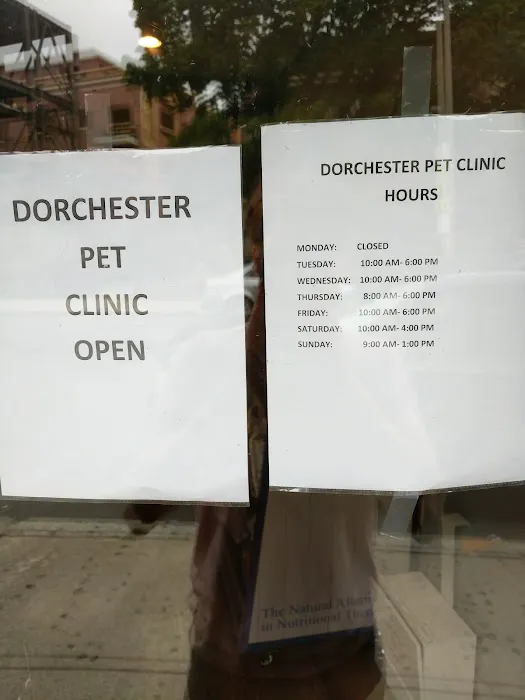 Dorchester Pet Clinic 5