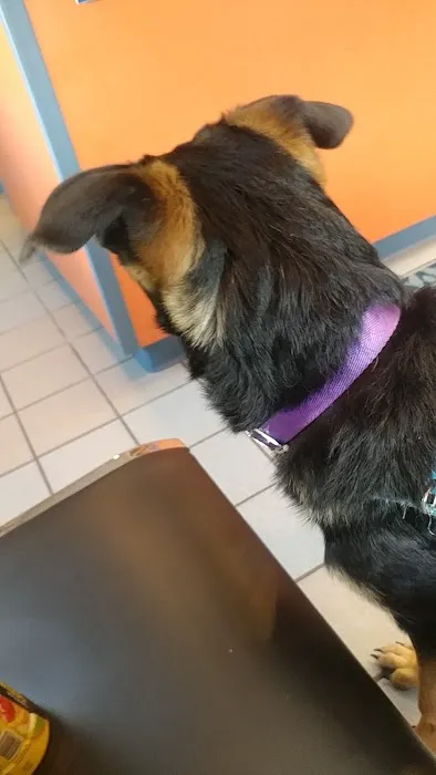 Holbrook Animal Hospital 1