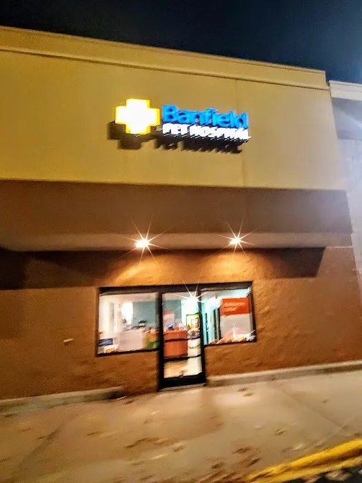 Banfield Pet Hospital 1