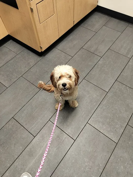 Banfield Pet Hospital 3
