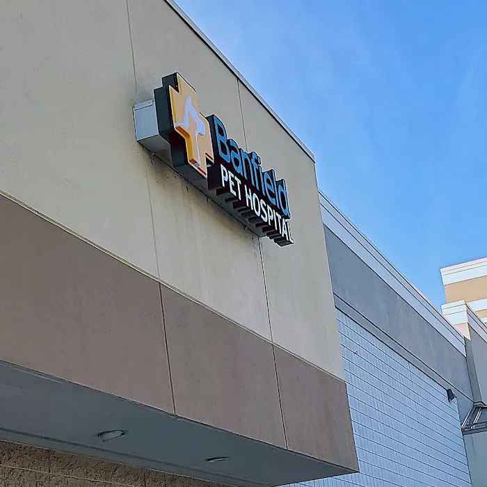 Banfield Pet Hospital 2