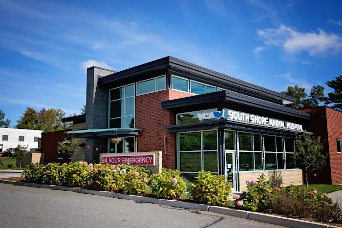 VCA South Shore Weymouth Animal Hospital 5