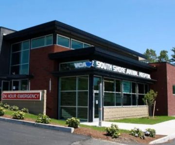 VCA South Shore Weymouth Animal Hospital