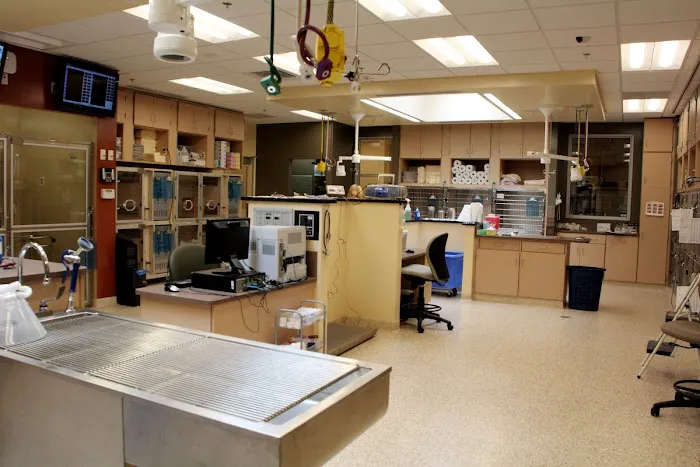 VCA South Shore Weymouth Animal Hospital 6