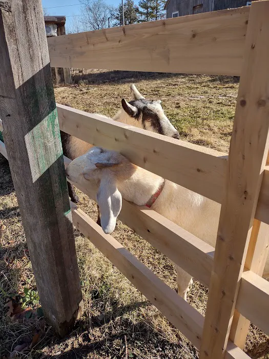 New England Wildlife Center 3