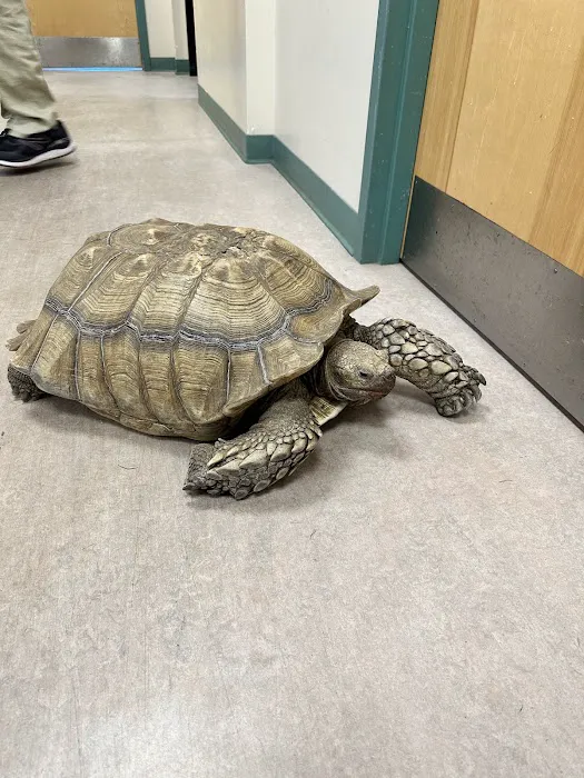 New England Wildlife Center 1