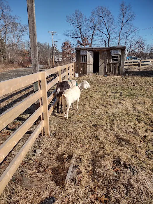 New England Wildlife Center 5