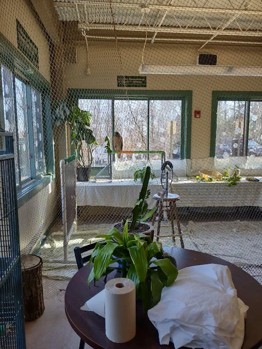 New England Wildlife Center 7