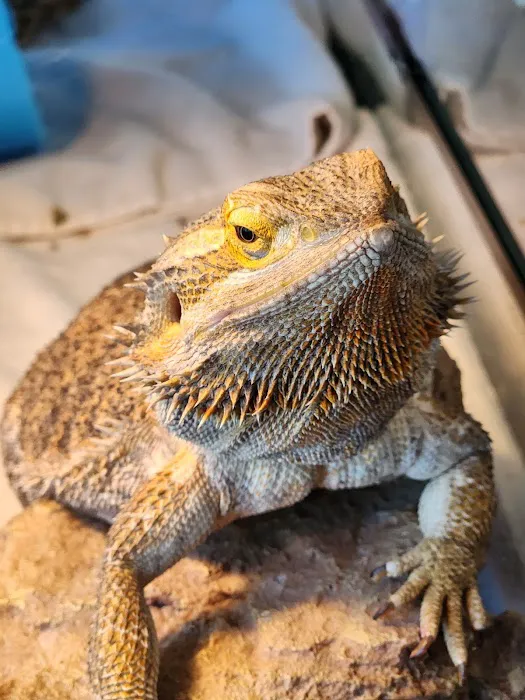 New England Wildlife Center 10
