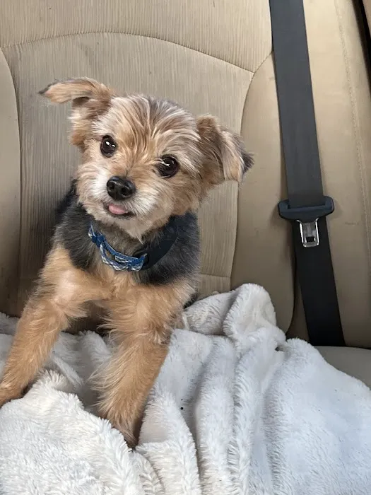 Veterinary Urgent Care Center - Braintree 7