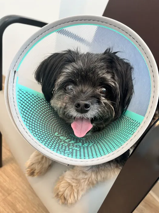 Veterinary Urgent Care Center - Braintree 2