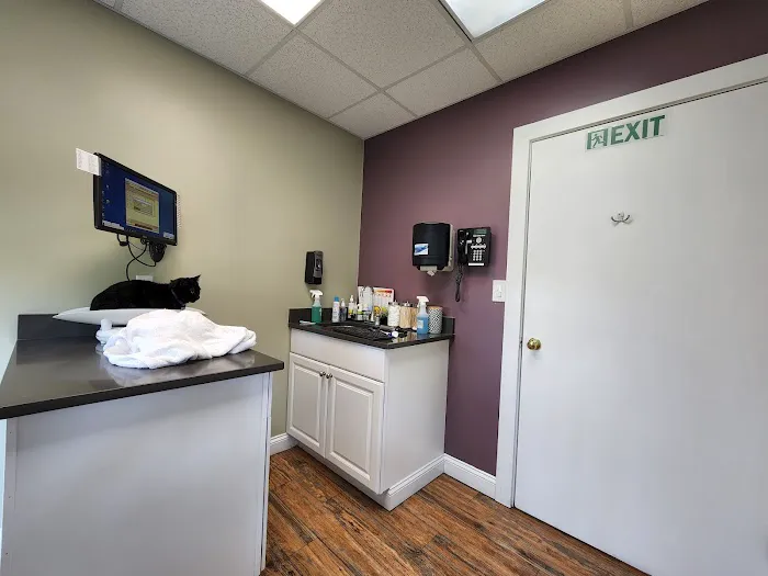 Weymouth Landing Cat Clinic & Hotel 1