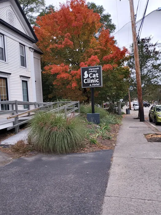 Weymouth Landing Cat Clinic & Hotel 3