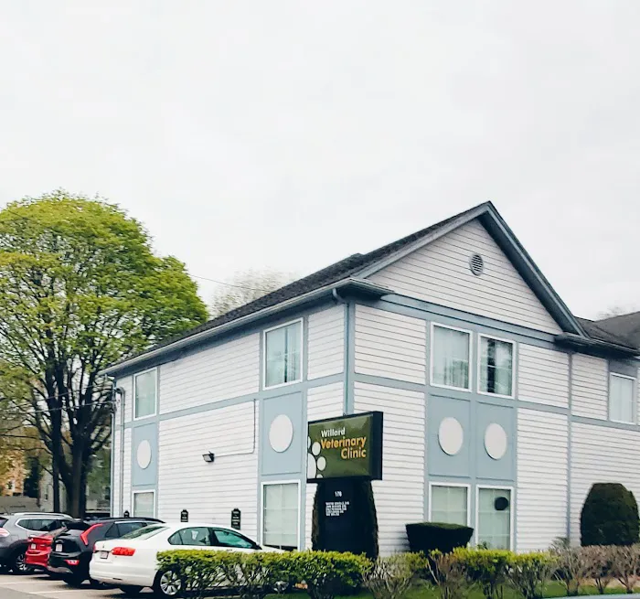 Willard Veterinary Clinic 6