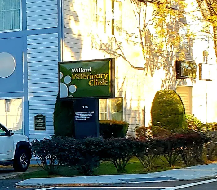 Willard Veterinary Clinic 3