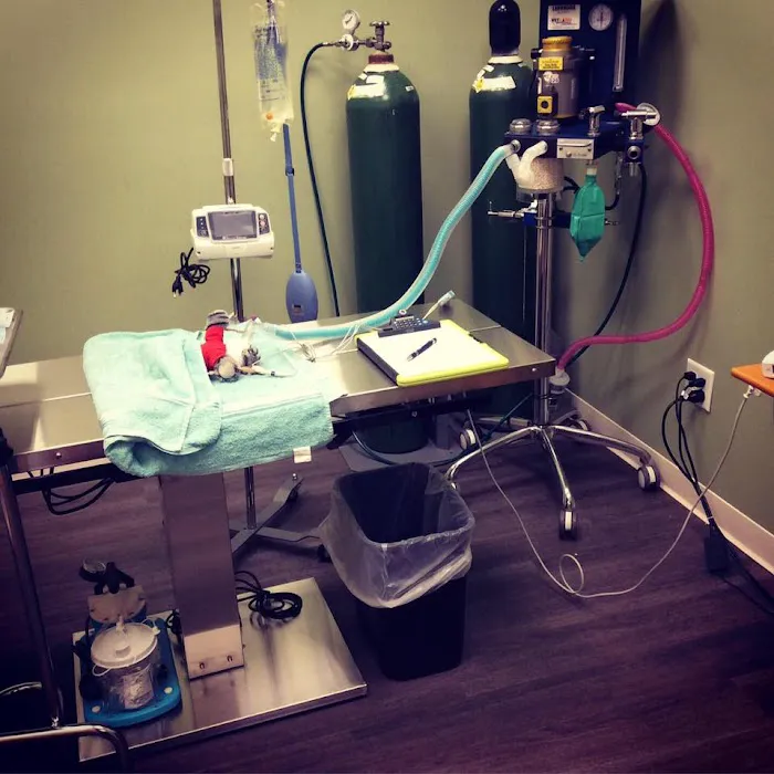 Braintree Veterinary Care 5