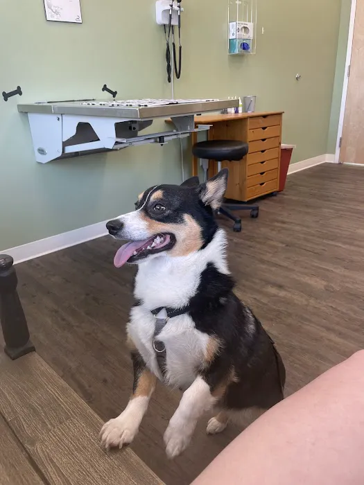 Braintree Veterinary Care 2