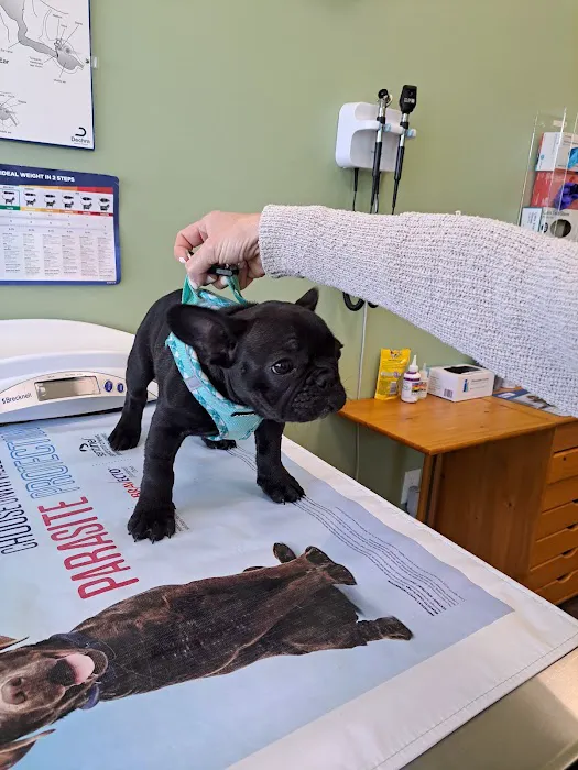 Braintree Veterinary Care 8