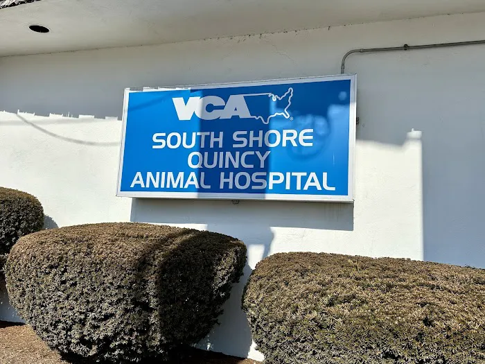 VCA South Shore Quincy Animal Hospital 7
