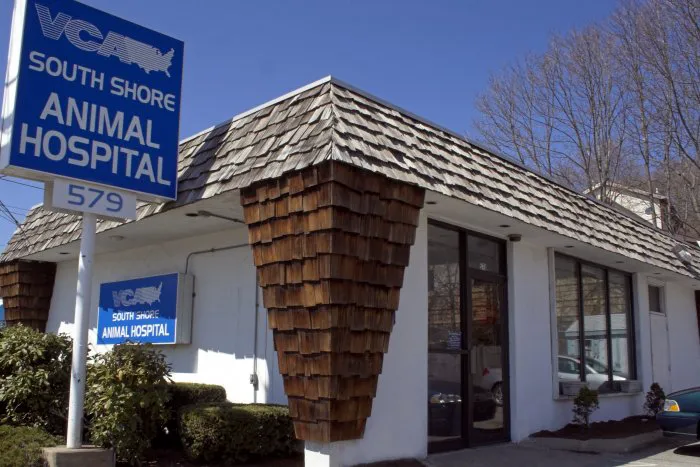 VCA South Shore Quincy Animal Hospital 1