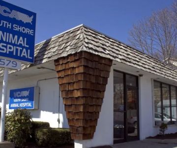 VCA South Shore Quincy Animal Hospital