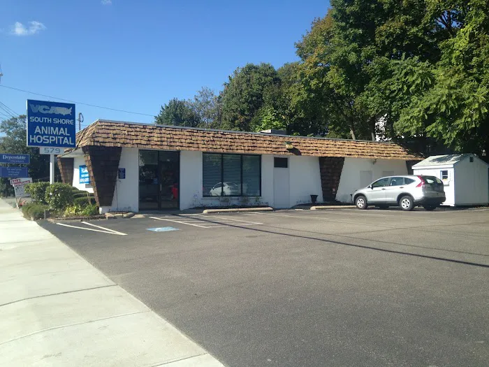 VCA South Shore Quincy Animal Hospital 10