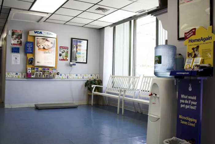 VCA South Shore Quincy Animal Hospital 3