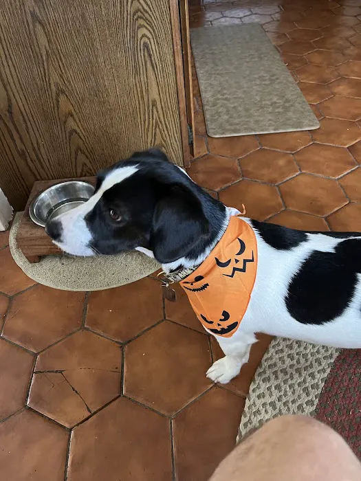 South Coastal Animal Health 1