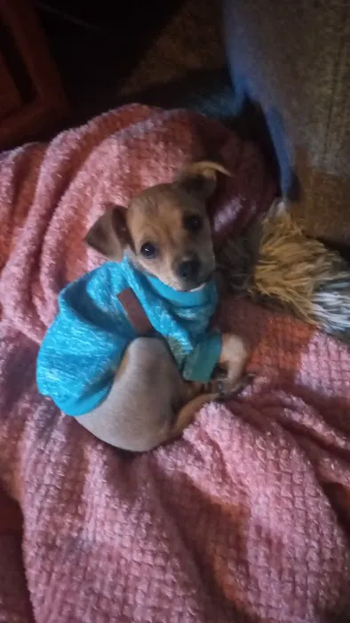 Vetco Total Care Animal Hospital 1