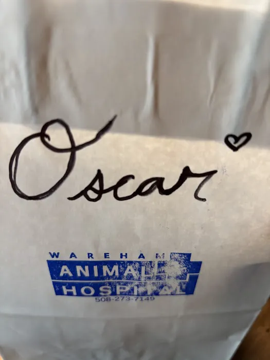 Wareham Animal Hospital 4