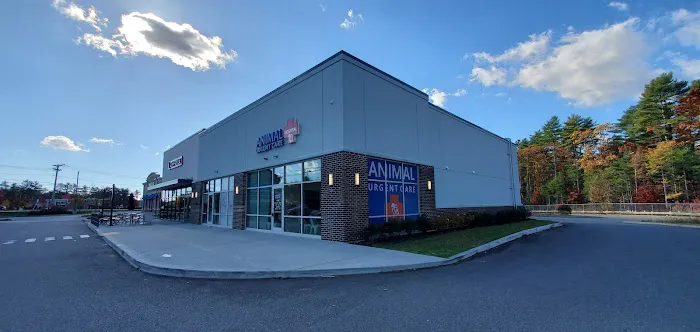 Wareham Animal Hospital 8