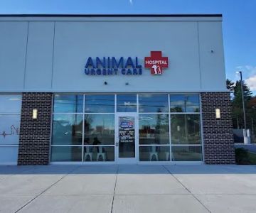 Wareham Animal Hospital