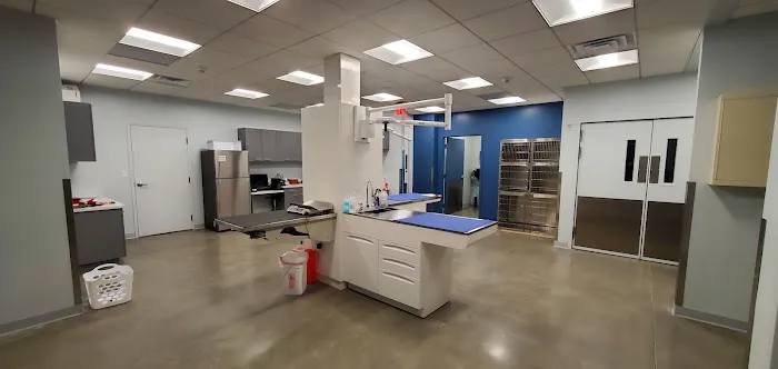 Wareham Animal Hospital 7
